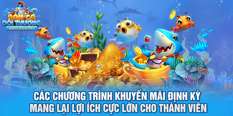 Các chương trình khuyến mãi định kỳ mang lại lợi ích cực lớn cho thành viên