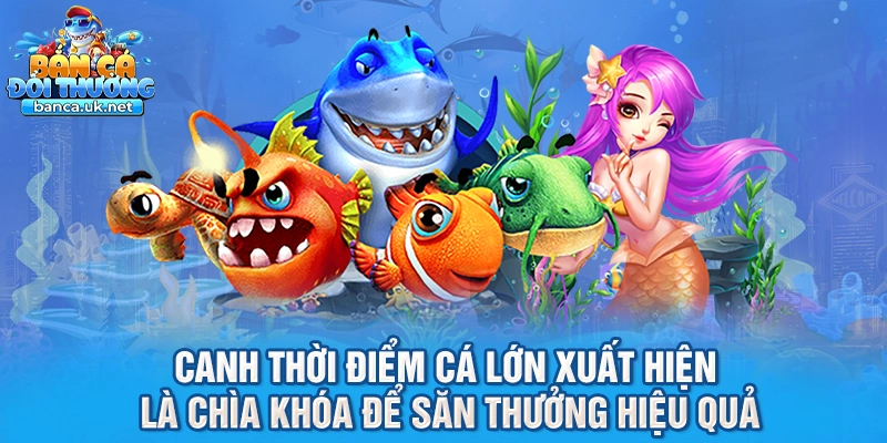 Canh thời điểm cá lớn xuất hiện là chìa khóa để săn thưởng hiệu quả