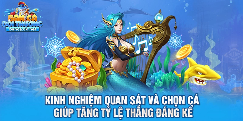Kinh nghiệm quan sát và chọn cá giúp tăng tỷ lệ thắng đáng kể
