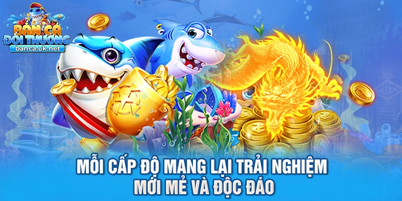 Mỗi cấp độ mang lại trải nghiệm mới mẻ và độc đáo