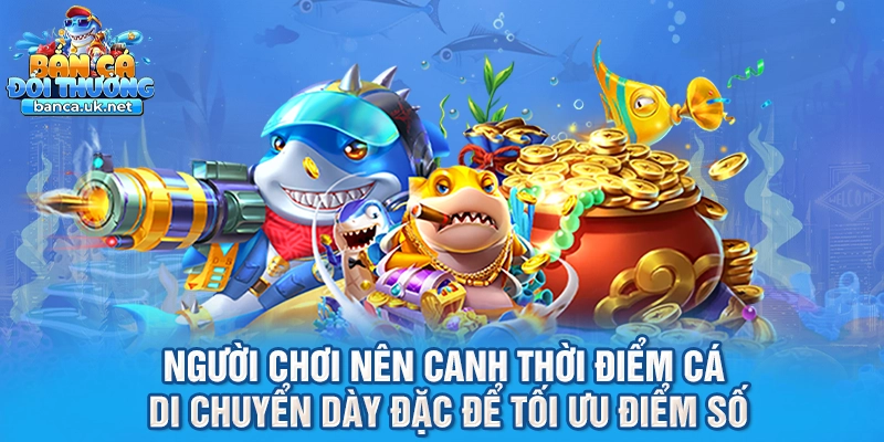 Người chơi nên canh thời điểm cá di chuyển dày đặc để tối ưu điểm số
